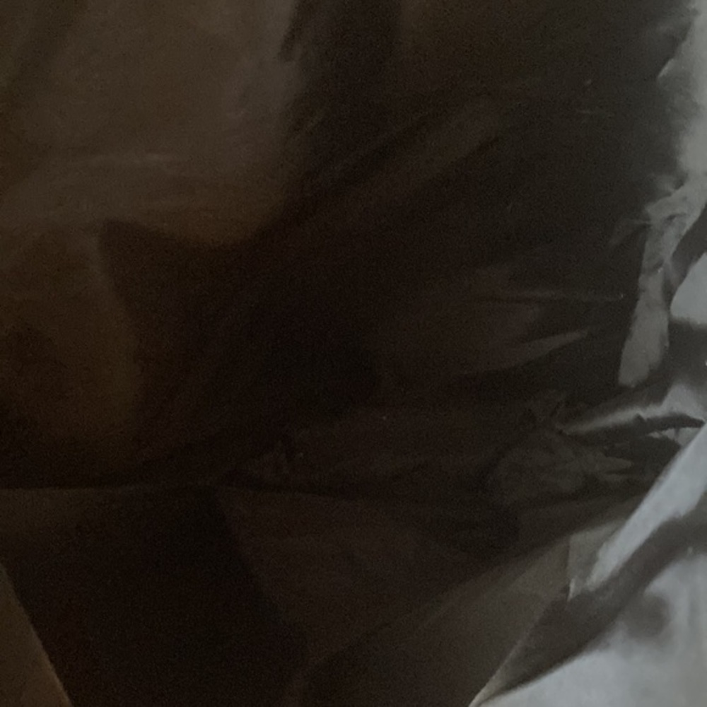 VICTORIA’S SECRET Metallic Quilted Tote - Picture 10 of 10